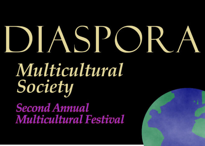 Full Day of Events at Diaspora Festival
