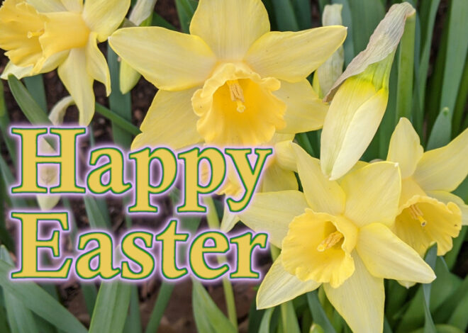 Happy Easter from the New Britain Progressive