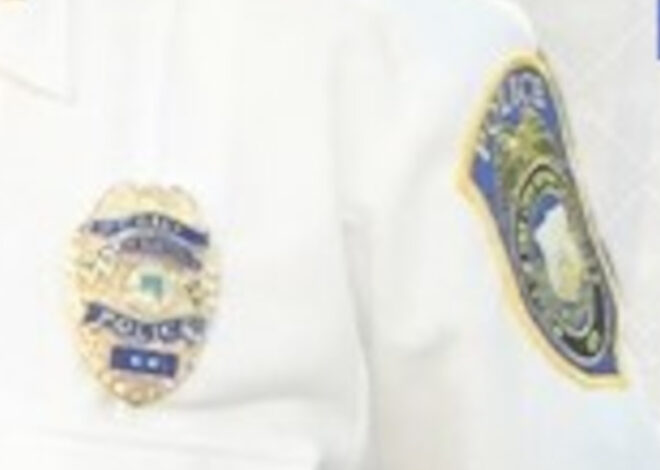 Stewart Apparently Uses Official Police Insignia in Campaign Material