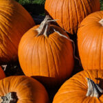 Community Events and Meetings in New Britain from Oct 6th to 12th