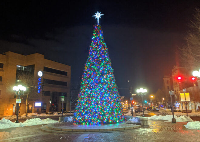 2024 New Britain Curbside Christmas Tree Pickup Planned from January 8 to 19
