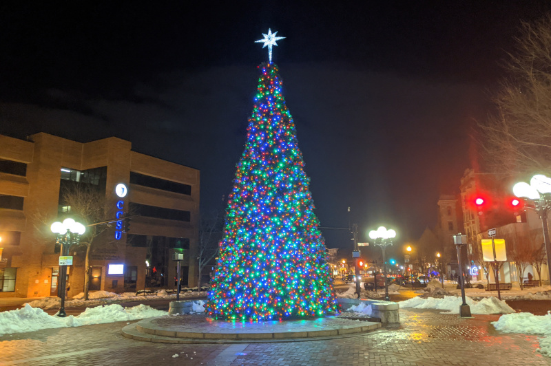 2024 New Britain Curbside Christmas Tree Pickup Planned from January 8 to 19