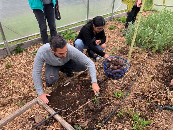 Lauding Founder Joey Listro, New Britain ROOTS Begins Search for New Executive Director