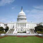 End MAGA Next Year With Necessary Small-D Democratic Reforms