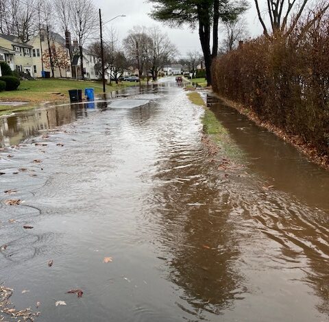 The Allen St. Neglect and Disinformation Continues. Meanwhile, Stewart & Saavedra are still $6M Short.