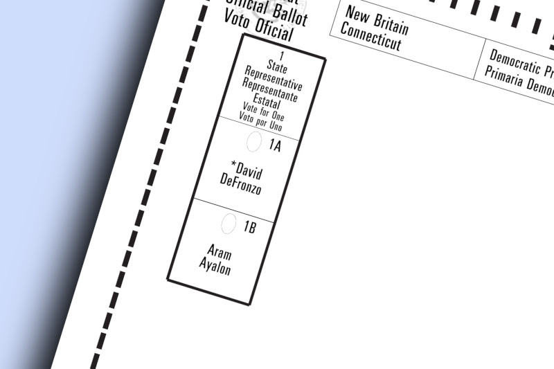 Early Voting Underway in DeFronzo-Ayalon Primary