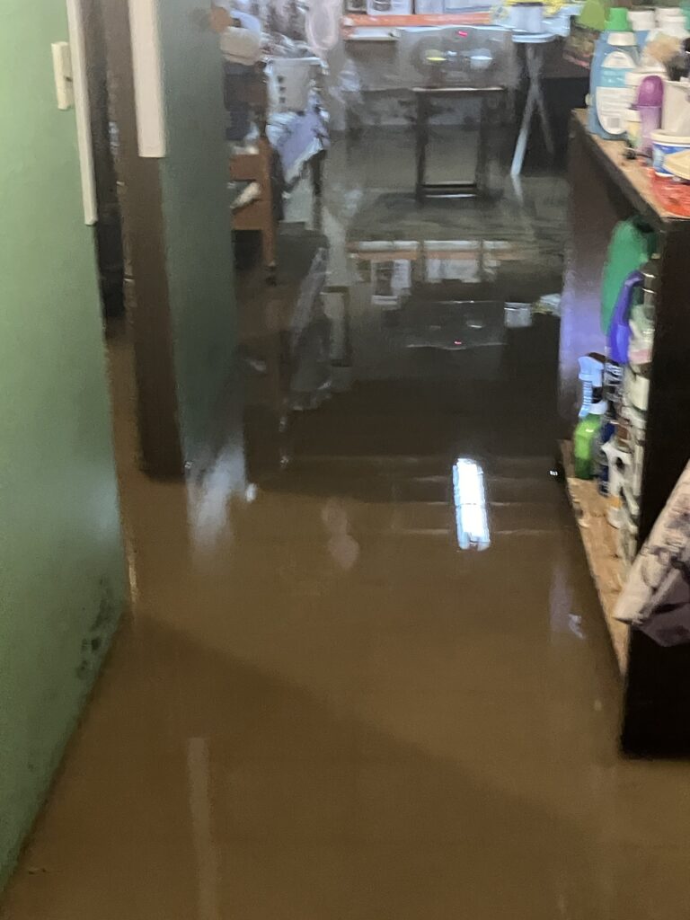 Basement flooding at a Brighton Street home near Allen Street after heavy rains in August 2024