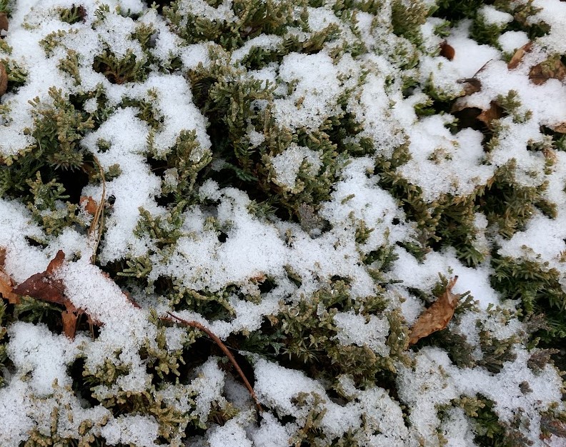 Community Events and Meetings in New Britain from Dec 8th to 14th