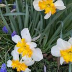 Community Events and Meetings in New Britain from May 19th to 25th