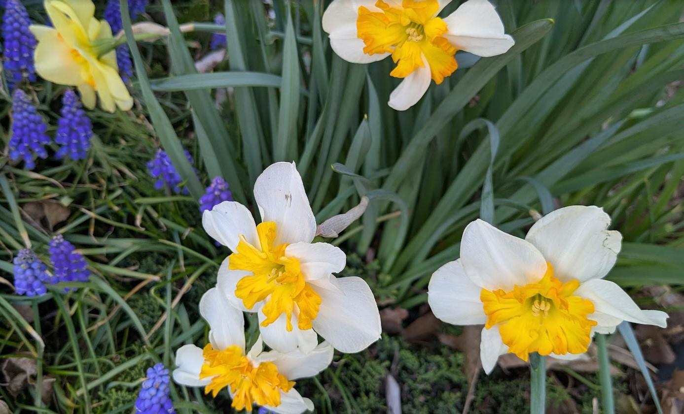 Community Events and Meetings in New Britain from May 19th to 25th