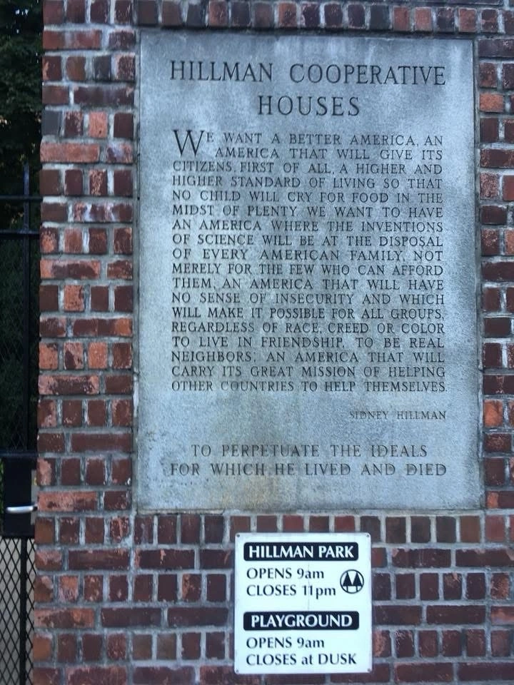 How Mamdani’s Message Trumped the Establishment in NYC