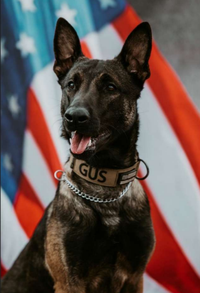Art Schaller and Hometown Foundation Bring New K-9 Gus to New Britain Police