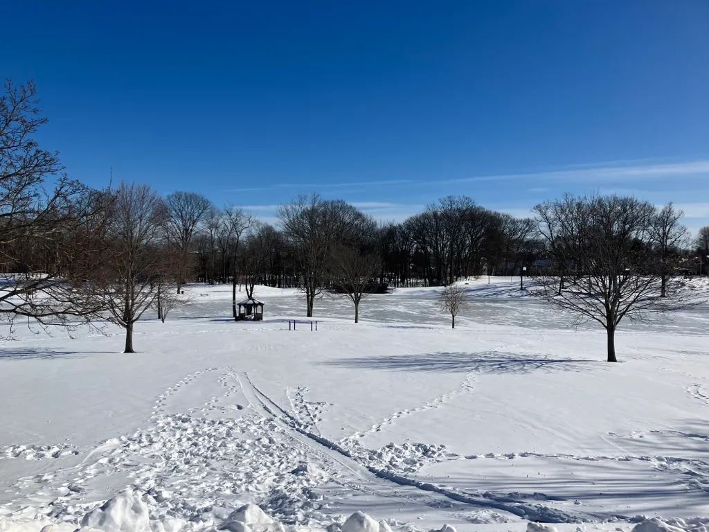 New Britain Week in Review