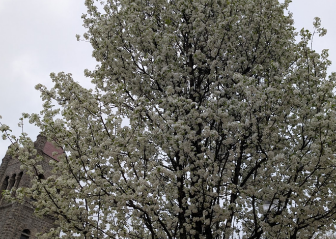 Community Events and Meetings in New Britain from Apr 20th to 26th