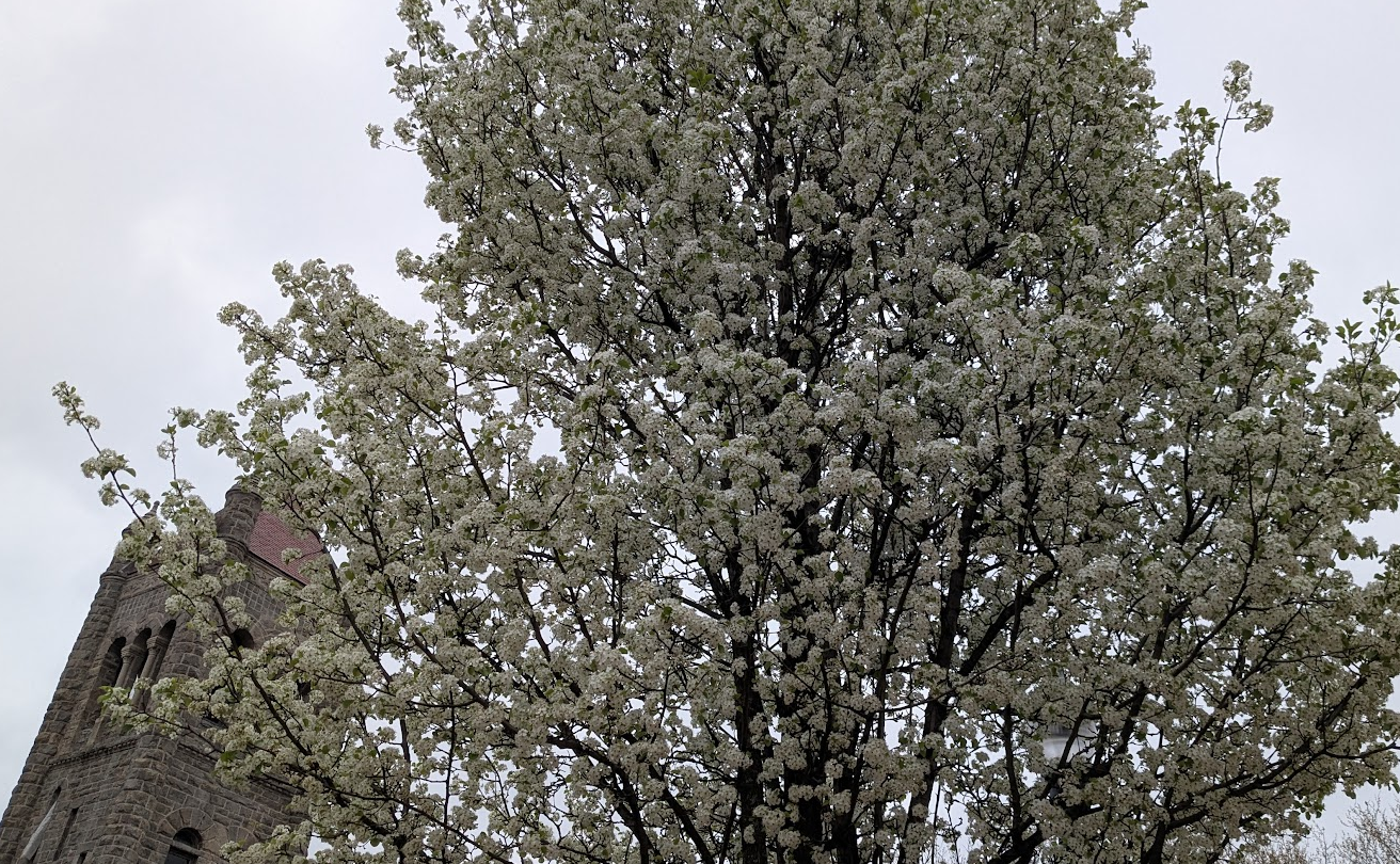 Community Events and Meetings in New Britain from Apr 20th to 26th